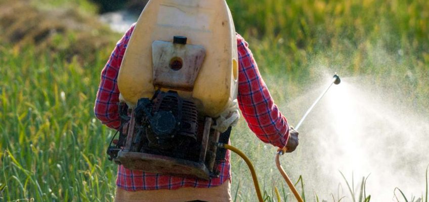 Pesticides in food: Safety, exposure, and more