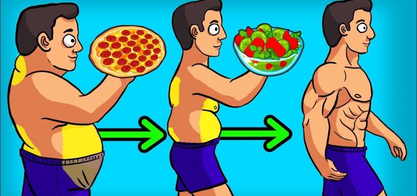 3 BEST Diets to LOSE WEIGHT & BELLY FAT