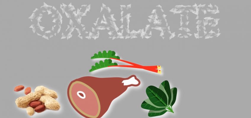 An innovative, nutrition-based approach to managing kidney stones