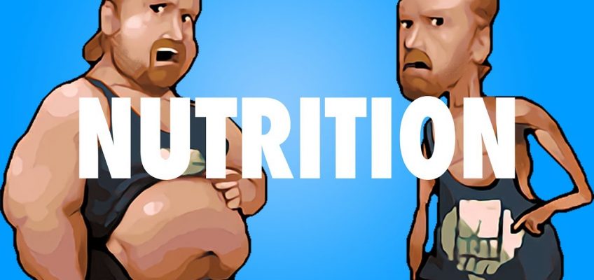 Best NUTRITION Advice (Beginner's Guide to The Gym)