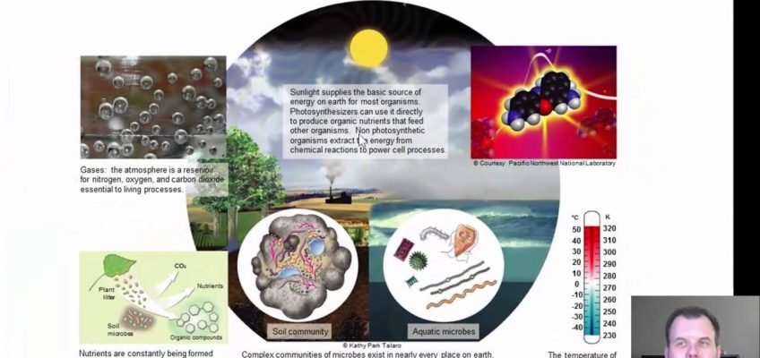 Chapter 7 – Bacterial Nutrition
