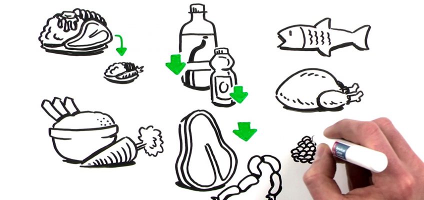 Healthy Eating and Active Living: What's the Cancer Connection? (English Version)