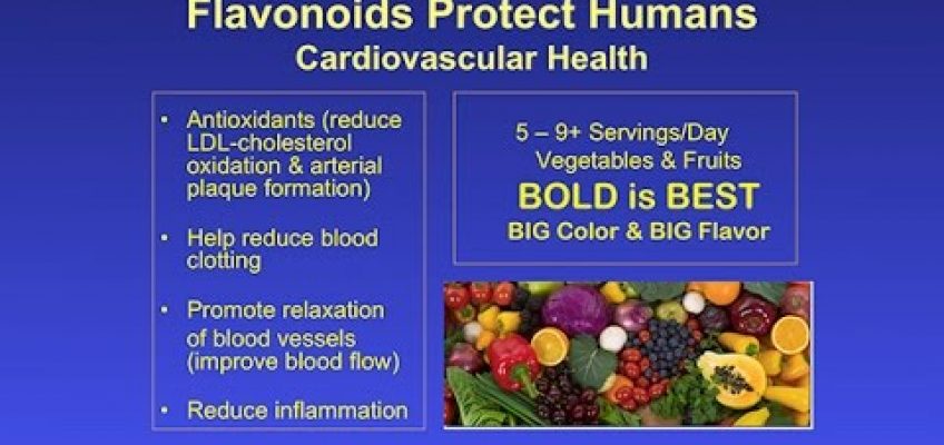 Heart Healthy Eating – Research on Aging