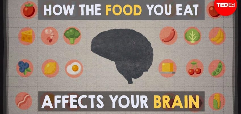 How the food you eat affects your brain – Mia Nacamulli