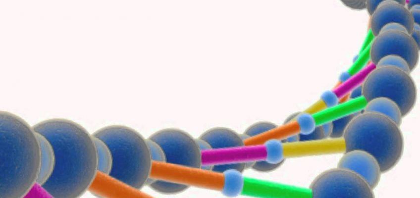 Nutrition, obesity and health