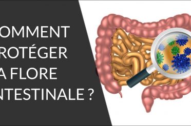 Quels sont les aliments bons pour notre flore intestinale ? – Question Nutrition