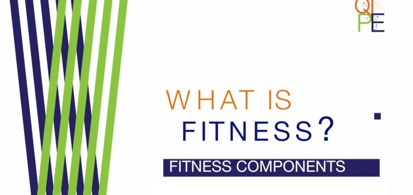 What is Fitness: Health & Skill Fitness Components PE