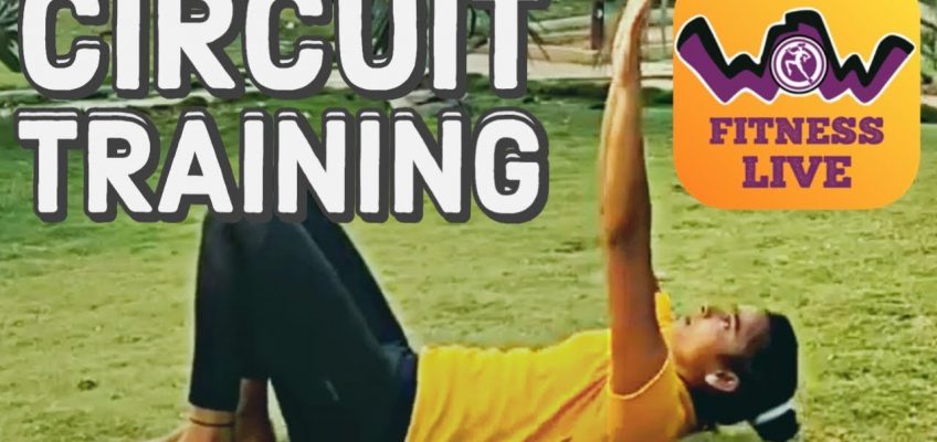 Workout 6 | Circuit Training | Health and Fitness Project  #stayhome #staywow
