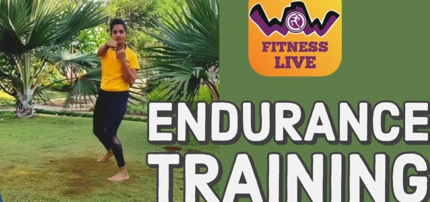 Workout 8 | Endurance | Health and Fitness Project | #stayhome #staywow