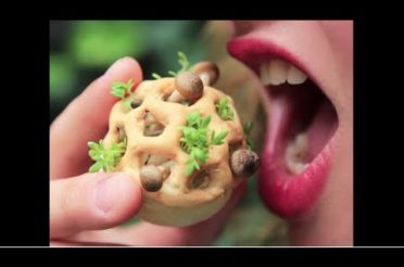 3D Printed Food: The Future of Healthy Eating | Chloe Rutzerveld | TEDxYYC