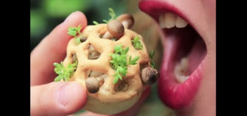 3D Printed Food: The Future of Healthy Eating | Chloe Rutzerveld | TEDxYYC