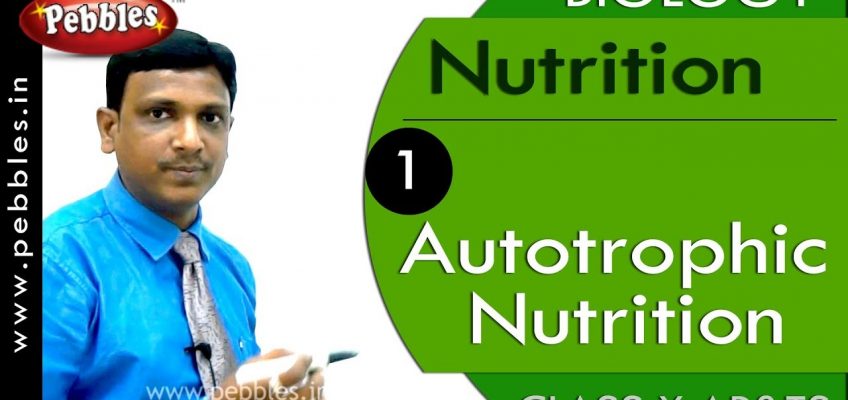 Autotrophic Nutrition:  Nutrition | Biology | Science |  Class 10