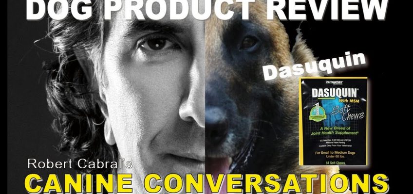 Dasuquin Product Review by Robert Cabral – Dog Health and Fitness – Dog Training