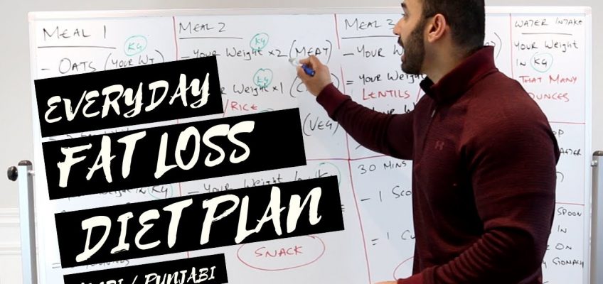 Everday FAT LOSS Diet Plan! (Hindi / Punjabi)