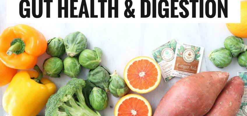Foods For Gut Health & Digestion | Nutrition & Wellness | Healthy Grocery Girl