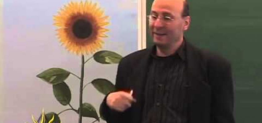 Holistic Nutrition for Optimal Health | Nutrition & Health: The Fundamentals