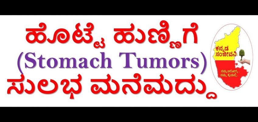 Home Remedy for Stomach Tumors Naturally in Kannada| Reduce Stomach Pain | Kannada Sanjeevani