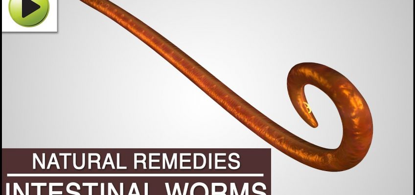 Intestinal Worms – Natural Ayurvedic Home Remedies