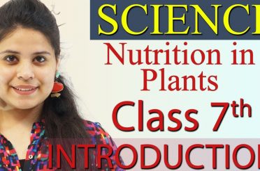 Introduction – Nutrition in Plants – Chapter 1 Class 7 Science