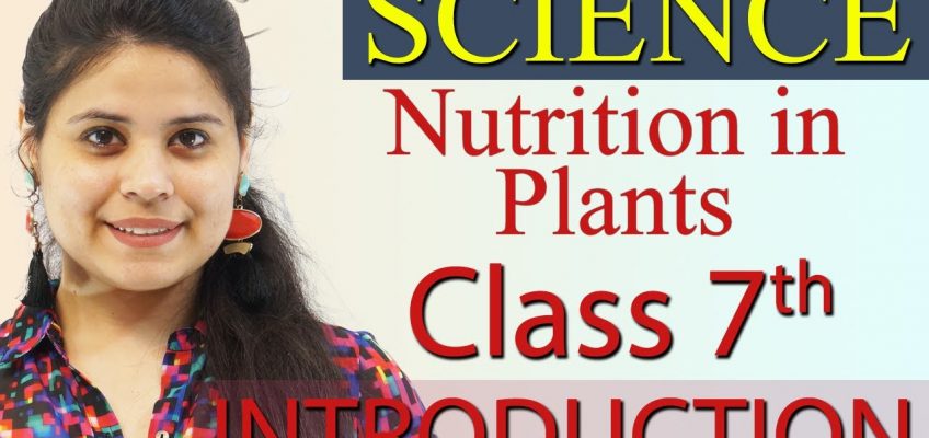 Introduction – Nutrition in Plants – Chapter 1 Class 7 Science