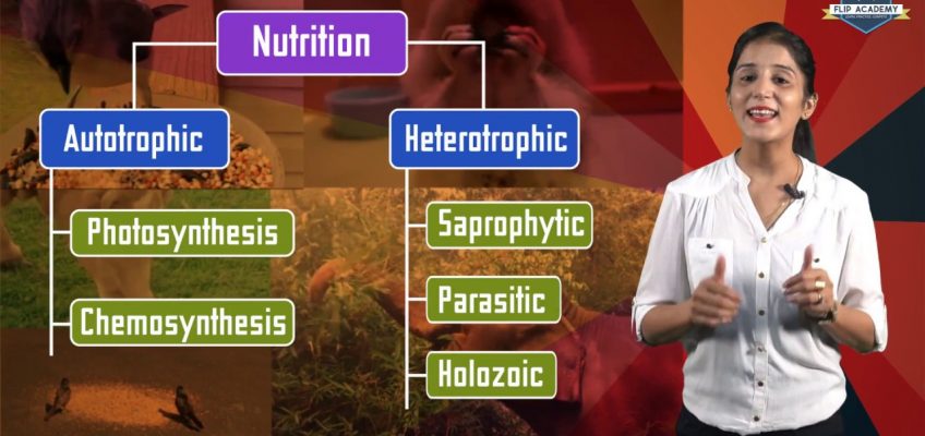 Life Processes 02: Mode of Nutrition (CBSE Class X Biology) Hindi+English