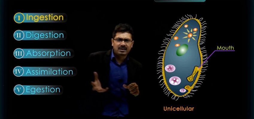 Life Processes – 2 (Chapter 6) | Heterotrophic nutrition | CBSE Class 10 Science | Biology