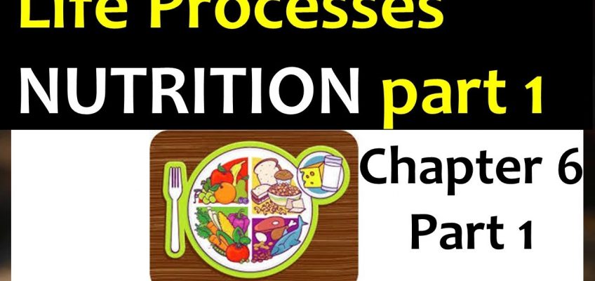 Life Processes  Chapter 6 Class 10  NUTRITION PART 1/2, Science Lesson from NCERT Book