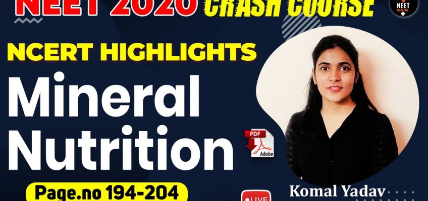 Mineral Nutrition Class 11 | NCERT Biology Highlight | Crash Course NEET 2020 Preparation