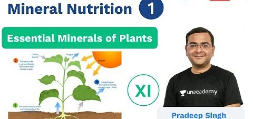Mineral Nutrition – L 1 | Plant Minerals | Class 11 | Unacademy NEET | Pradeep Sir