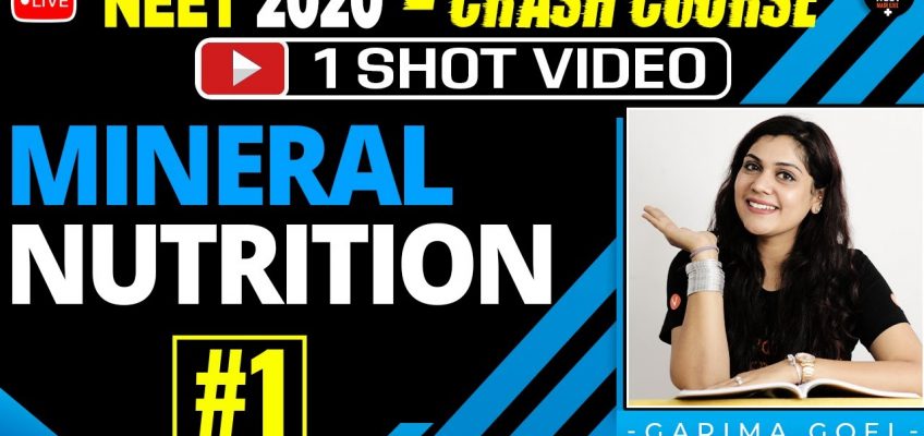 Mineral Nutrition One Shot Part 1 | Crash Course NEET 2020 Preparation | NEET Biology | Garima Goel