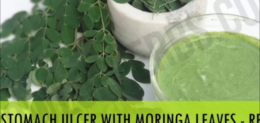 Moringa Leaves To Cure Stomach Ulcer – Home Cure | Bowl Of Herbs