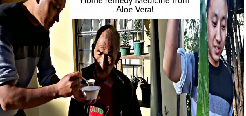 My brother made home remedy Medicine for Stomach Pain out of Aloe Vera |  Herbal medicine.