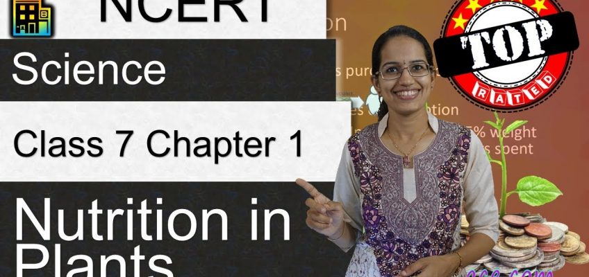 NCERT Class 7 Science Chapter 1: Nutrition in Plants (NSO/NSTSE/Olympiad) | English