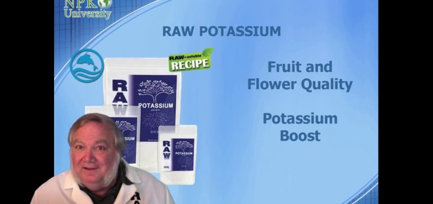 NPK-University Complete Plant Nutrition With Harley Smith