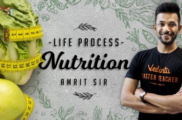 Nutrition | Life Process CBSE Class 10 Science (Biology) Chapter 6 NCERT Vedantu | Mode of Nutrition