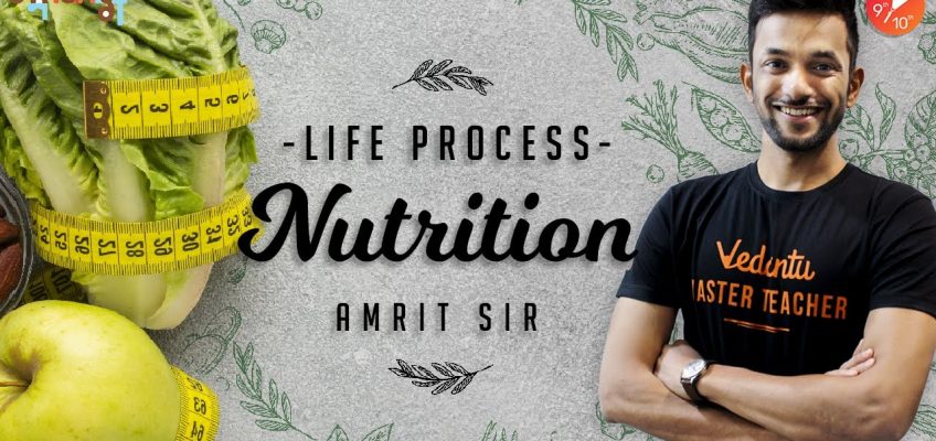 Nutrition | Life Process CBSE Class 10 Science (Biology) Chapter 6 NCERT Vedantu | Mode of Nutrition