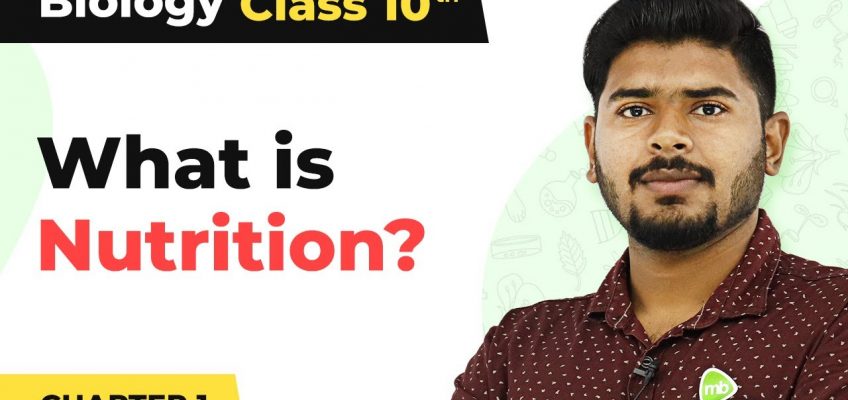 Nutrition – Life Process | Class 10 Biology