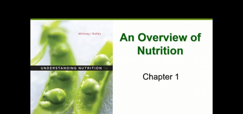 Nutrition Overview (Chapter 1)