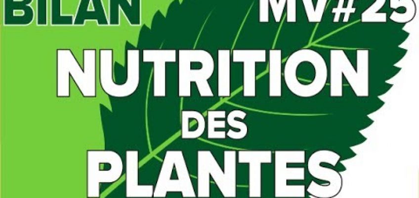Nutrition des Plantes Bilan MV#25-SVT Collège-Mathrix