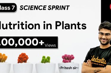 Nutrition in Plants | Class 7 Science Sprint | Chapter 1 @Vedantu Young Wonders