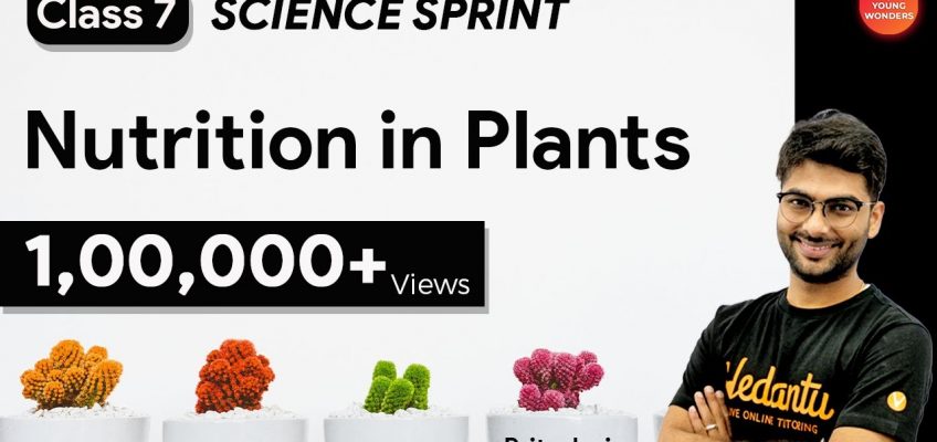 Nutrition in Plants | Class 7 Science Sprint | Chapter 1 @Vedantu Young Wonders