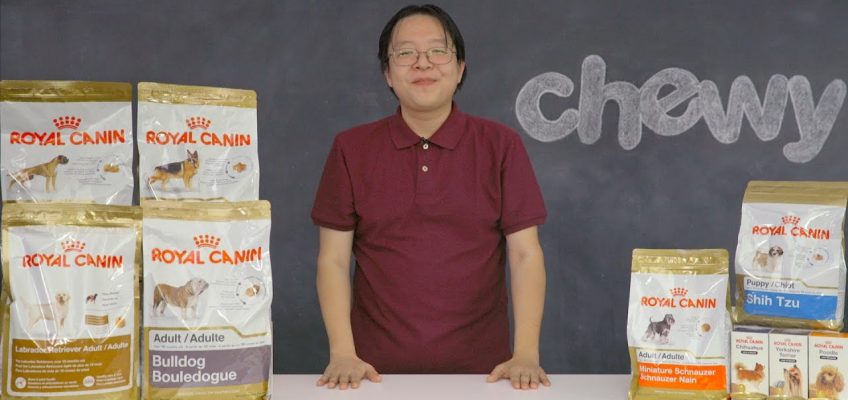 Royal Canin Breed Health Nutrition Dog Food