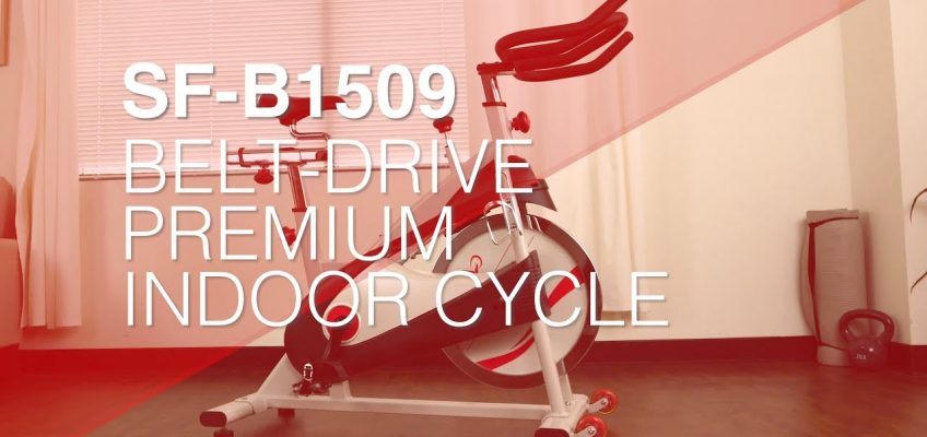 Sunny Health & Fitness SF-B1509 Belt Drive Premium Indoor Cycling Bike