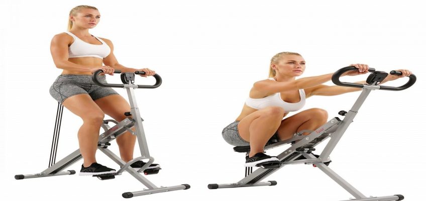 Sunny Health and Fitness Squat Assist Row-N-Ride Trainer for Squat Exercise and Workout