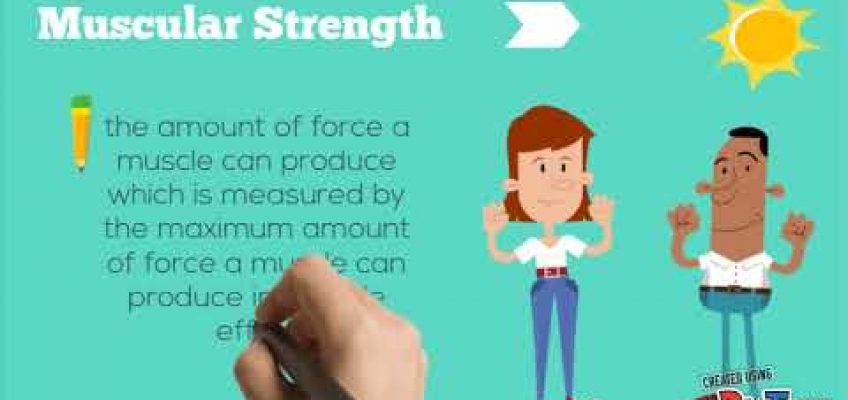 The 5 Components of Health Related Fitness