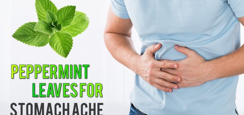 The Incredible Natural Remedies For Stomach Ache Relief