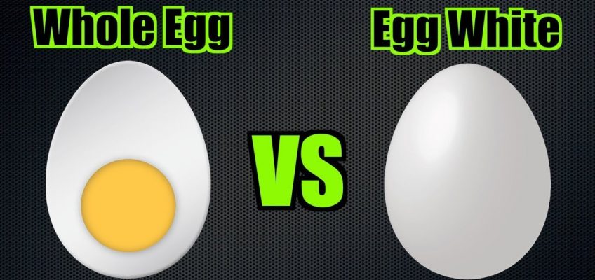Whole Eggs Vs Egg Whites | Nutrition Battle