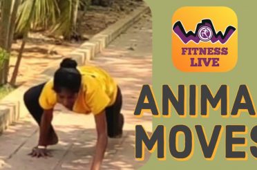 Workout 12 | Animal moves 2 | Health and Fitness Project #stayhome #staywow
