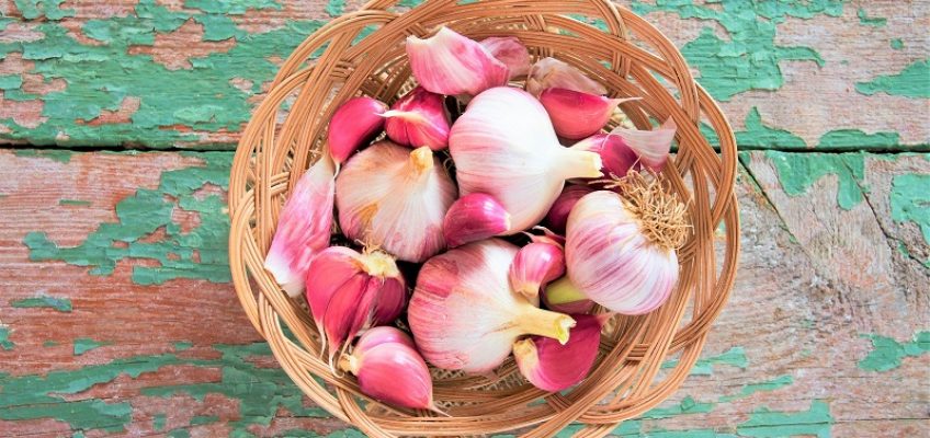 Antiviral Foods for a Healthy Summer