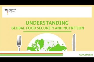 "Understanding global food security and nutrition"